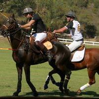 Veuve Clicquot Polo Classic Los Angeles at Will Rogers State Historic Park | Picture 99242